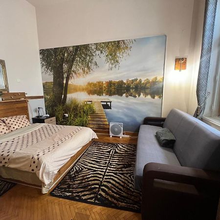 Apartament Ultracentral 2 Piata Muzeului קלוז'-נאפוקה מראה חיצוני תמונה