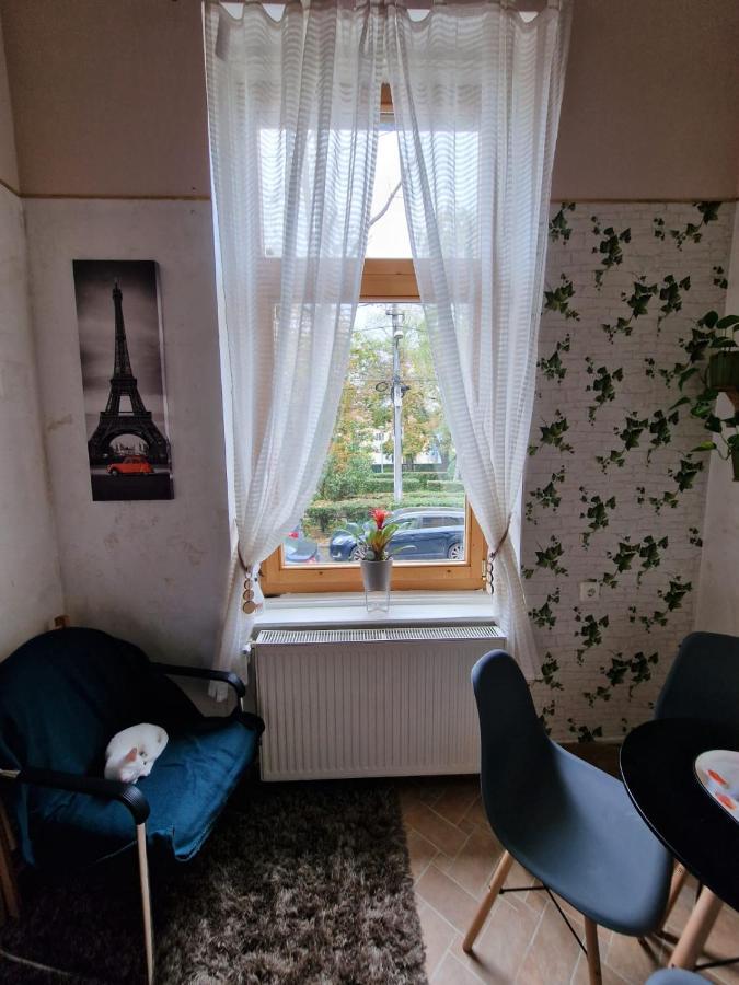 Apartament Ultracentral 2 Piata Muzeului קלוז'-נאפוקה מראה חיצוני תמונה