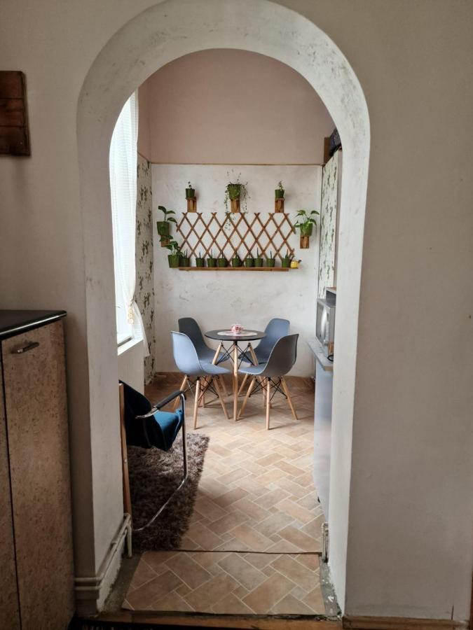 Apartament Ultracentral 2 Piata Muzeului קלוז'-נאפוקה מראה חיצוני תמונה