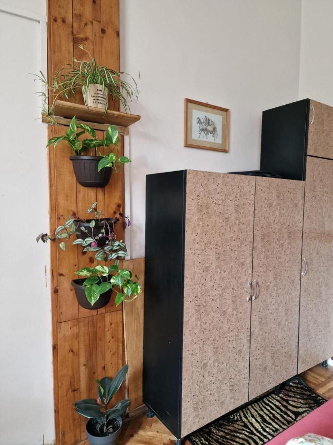 Apartament Ultracentral 2 Piata Muzeului קלוז'-נאפוקה מראה חיצוני תמונה