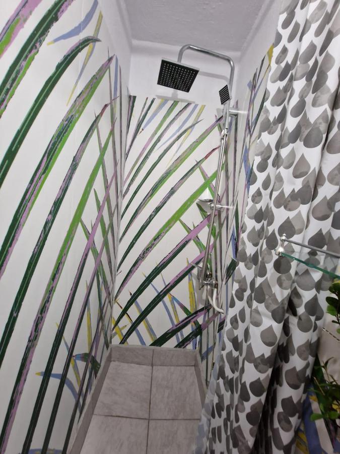 Apartament Ultracentral 2 Piata Muzeului קלוז'-נאפוקה מראה חיצוני תמונה
