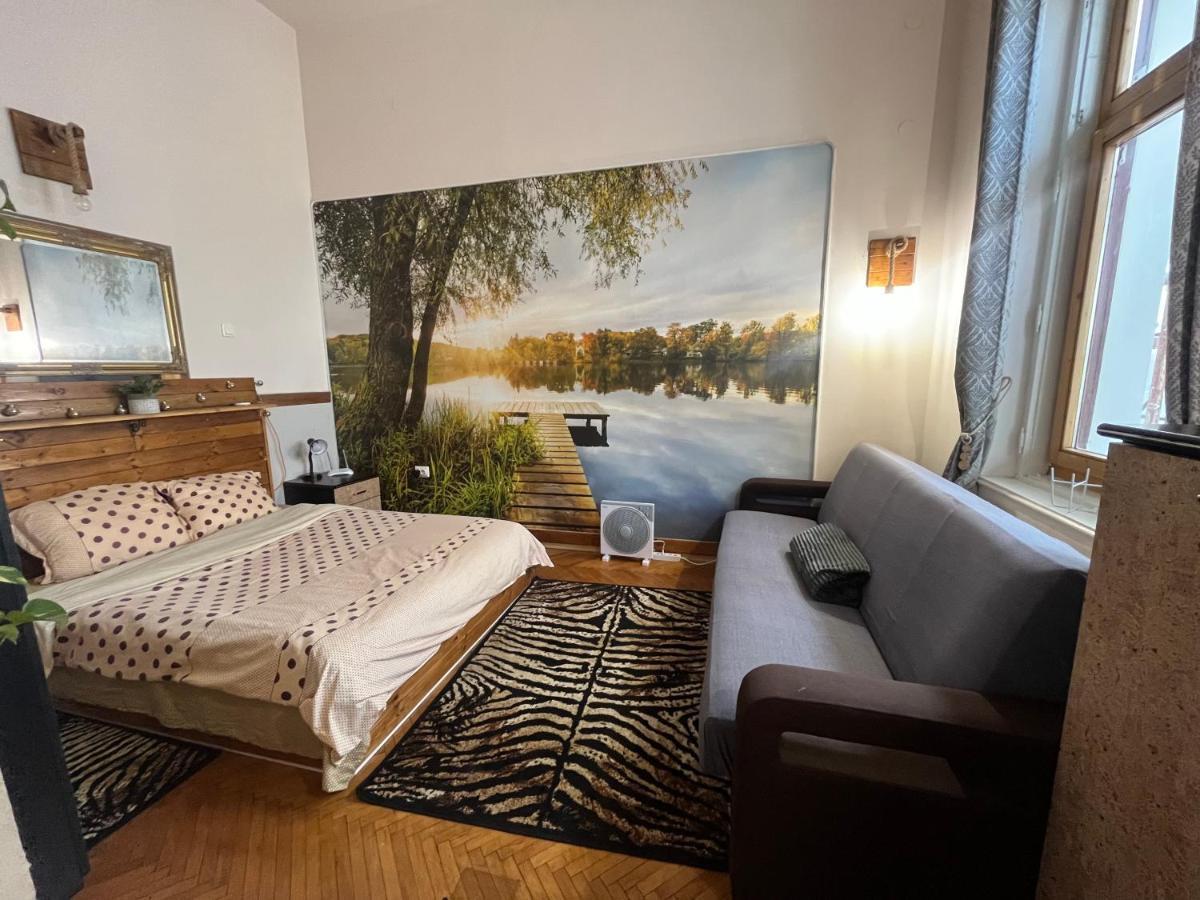 Apartament Ultracentral 2 Piata Muzeului קלוז'-נאפוקה מראה חיצוני תמונה